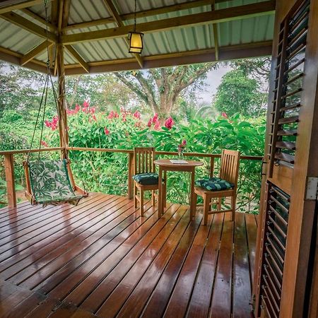 The Hummingbird Hotel Bocas Town Exterior photo