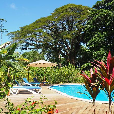 The Hummingbird Hotel Bocas Town Exterior photo