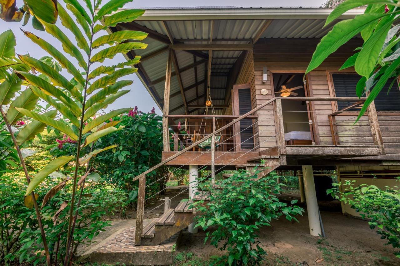 The Hummingbird Hotel Bocas Town Exterior photo