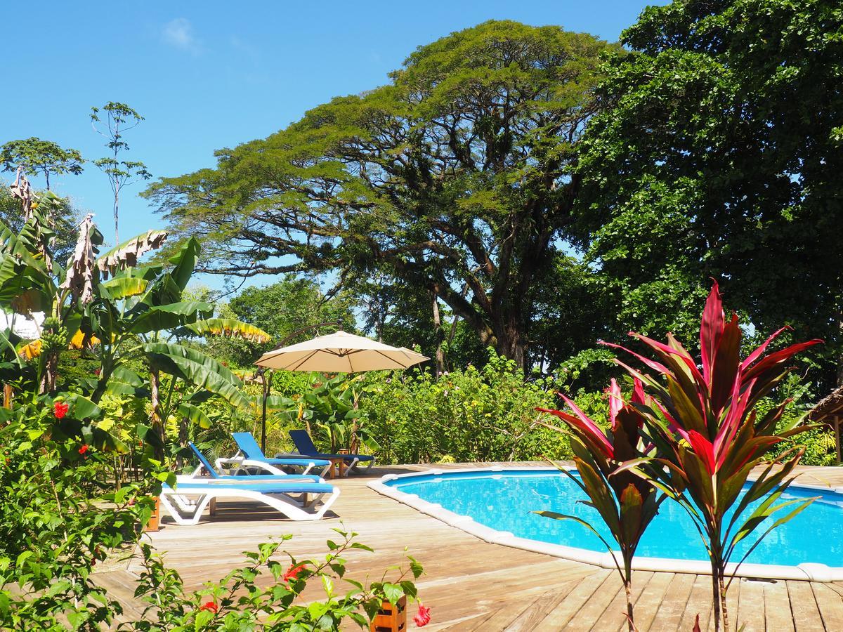 The Hummingbird Hotel Bocas Town Exterior photo