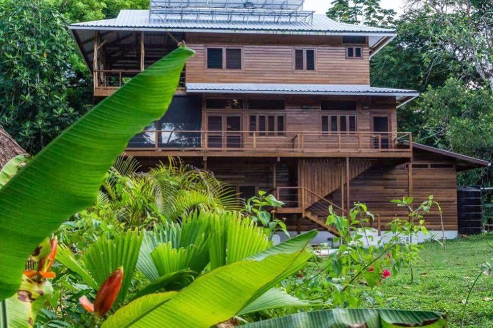 The Hummingbird Hotel Bocas Town Exterior photo