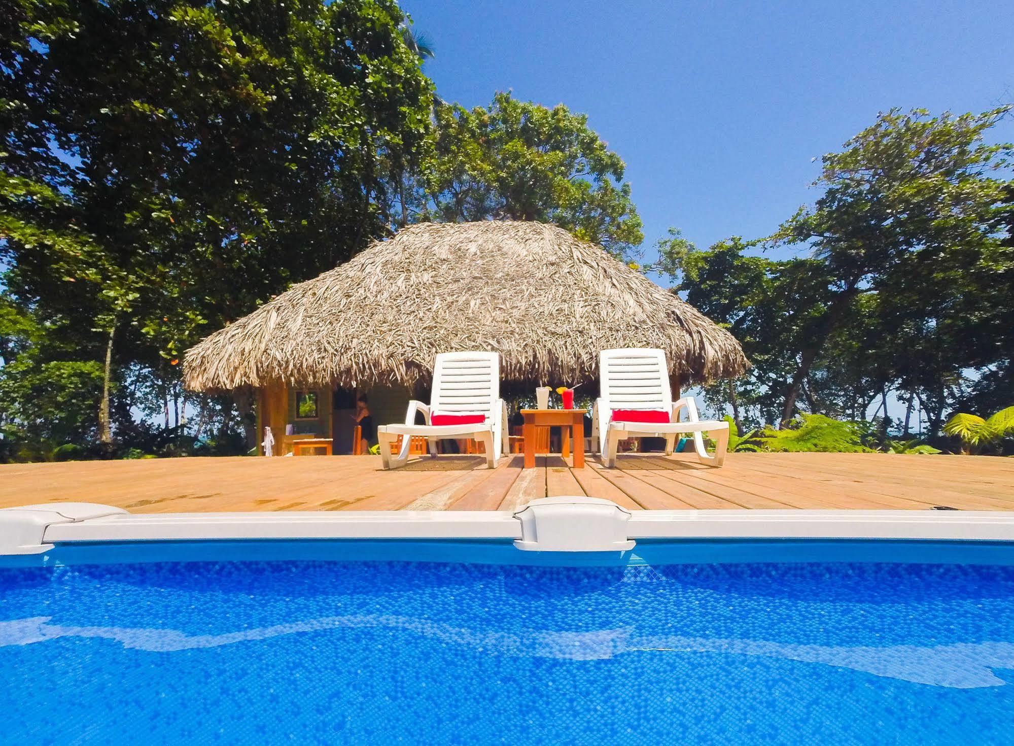 The Hummingbird Hotel Bocas Town Exterior photo