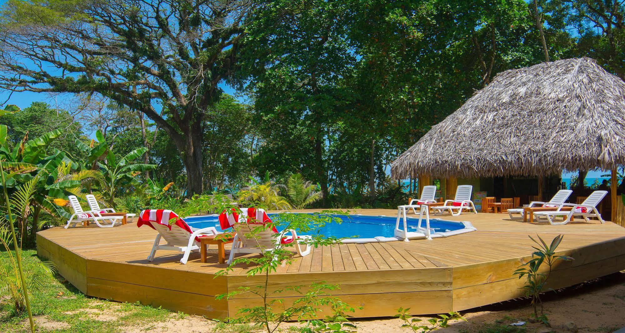 The Hummingbird Hotel Bocas Town Exterior photo