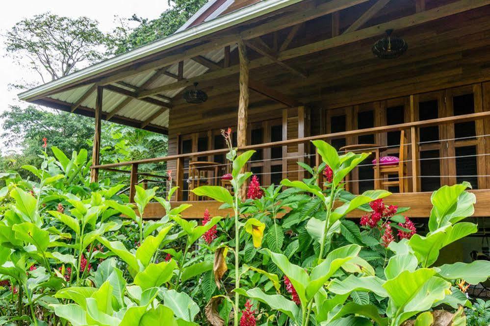 The Hummingbird Hotel Bocas Town Exterior photo